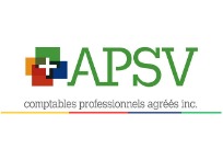 APSV comptables professionnels agréés APSV comptables professionnels agréés